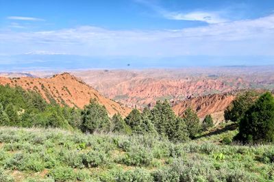 Scenic view of landscape against sky