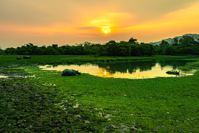 Scenic view of lake against sky during sunset