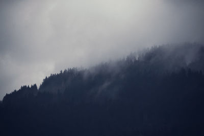 Silhouette trees in forest against sky