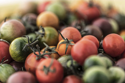 High angle view of various colorful tomatoes