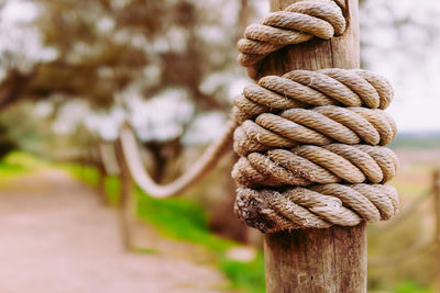 Close-up of rope tied