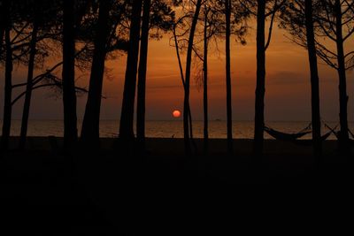 Silhouette trees by sea against sky during sunset