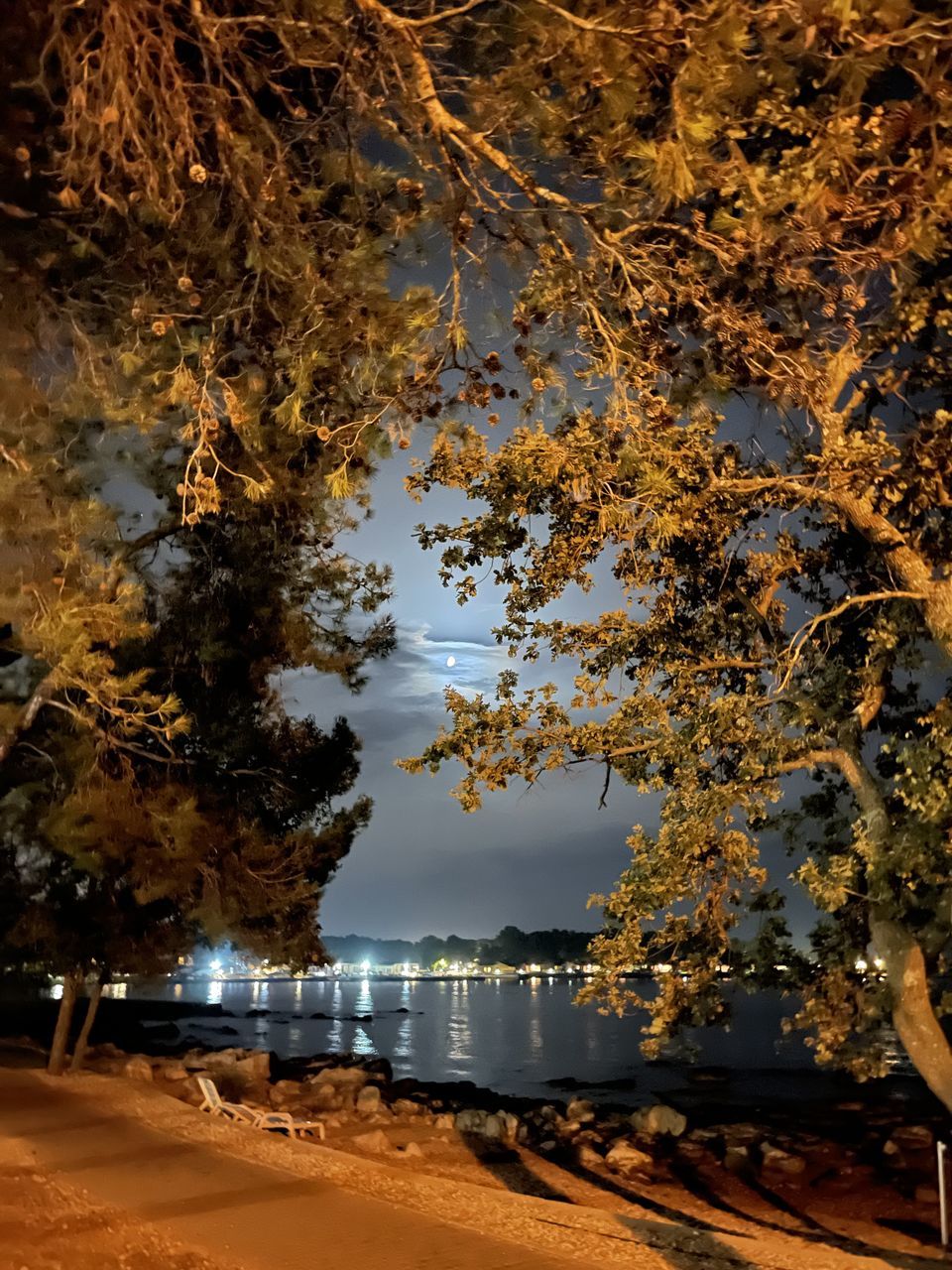 TREES BY LAKE AGAINST SKY AT NIGHT