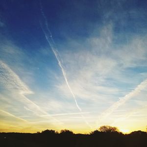 Low angle view of silhouette trees against sky during sunset