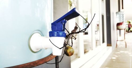 Close-up of spider on faucet