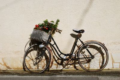 Flowers in bicycle basket against wall on sunny day