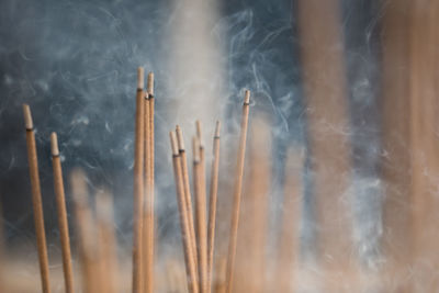 Close-up of burning incenses