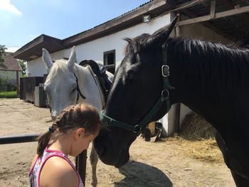 Girl embracing horse in stable