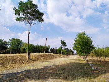 Trees on field against sky