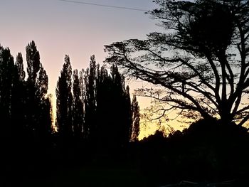 Silhouette trees in forest against sky during sunset