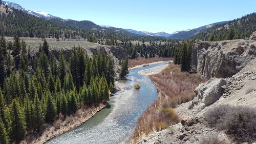 Scenic view of river against clear sky