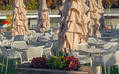 Potted plants and chairs at table against building