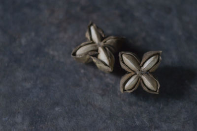 Two sacha inchi, sacha peanut ,mountain peanut incas on a dark brown background