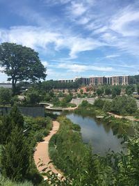 Scenic view of trees against sky