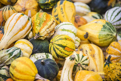 Full frame shot of pumpkins in market