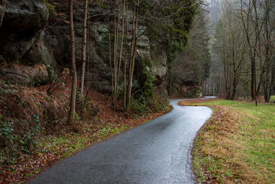 Road amidst trees in forest