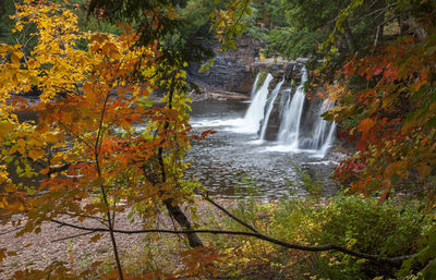 Scenic view of waterfall in forest