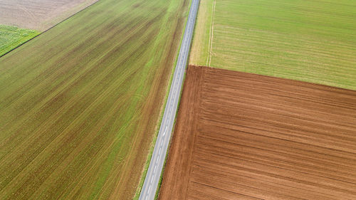 Aerial view of road amidst agricultural field