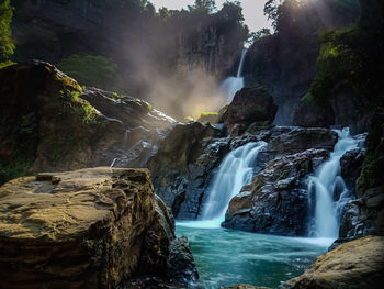 View of waterfall in forest