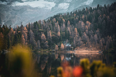 Cabin in the woods at mountain lake reedsee in the austrian alps in gastein in  moody fall colors