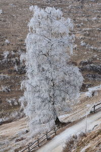 Snow covered land