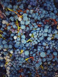 Full frame shot of fruits