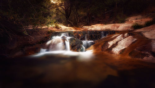 Surface level of stream in forest