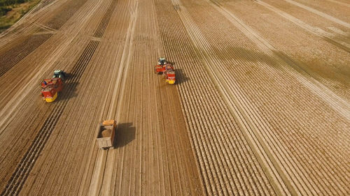 High angle view of agricultural field