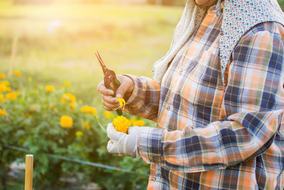 Midsection of woman pruning flower on field