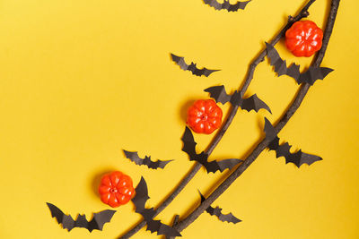 Close-up of red heart shape made of orange