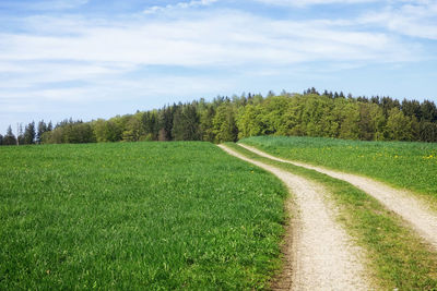 Scenic view of field against sky