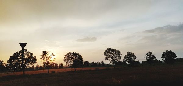 Silhouette trees on field against sky during sunset