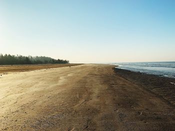 Scenic view of beach against clear sky