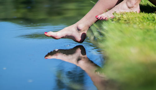 Low section of woman swimming in lake