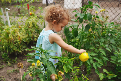 Full length of woman holding plant