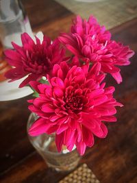 Close-up of pink dahlia flowers