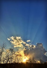 Low angle view of vapor trails in sky at sunset