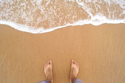 Low section of man standing on beach