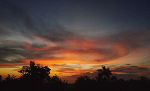 Silhouette of trees against dramatic sky