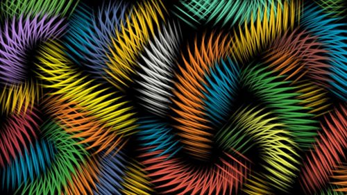 Full frame shot of multi colored leaves