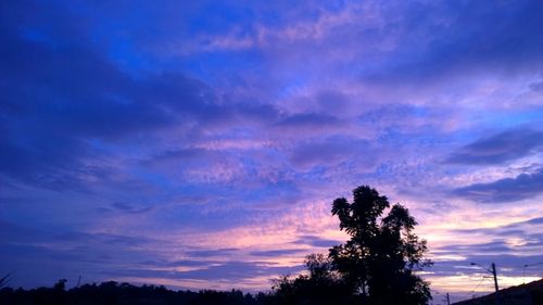 Low angle view of silhouette trees against sky at sunset