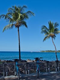 Palm trees on beach against clear sky