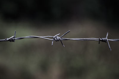 Close-up of barbed wire fence