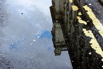 Reflection of trees in puddle on road