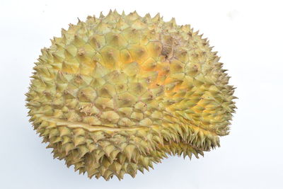 Close-up of a flower