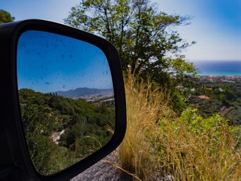 Reflection of trees on side-view mirror