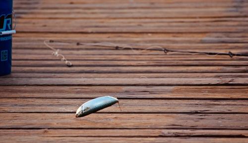 High angle view of shell on wooden table