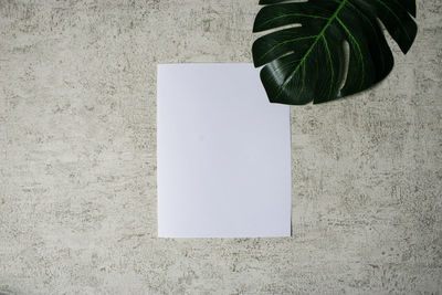 High angle view of paper on wall