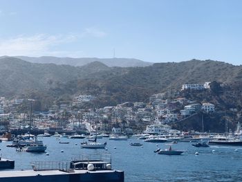 Sailboats moored in sea by city against sky