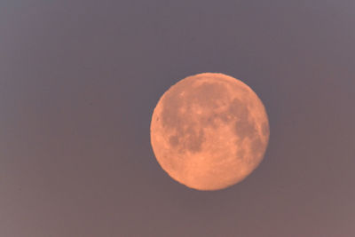 Low angle view of moon against sky